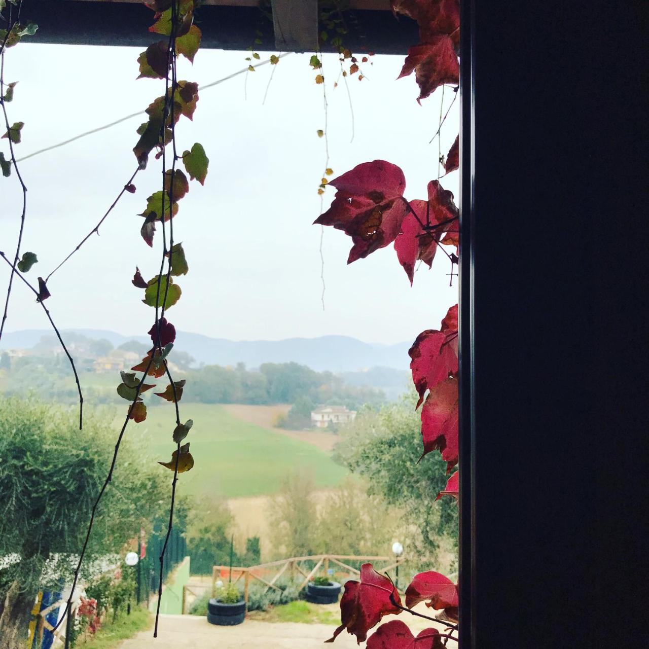 Il Pozzo Country House Collescipoli 外观 照片