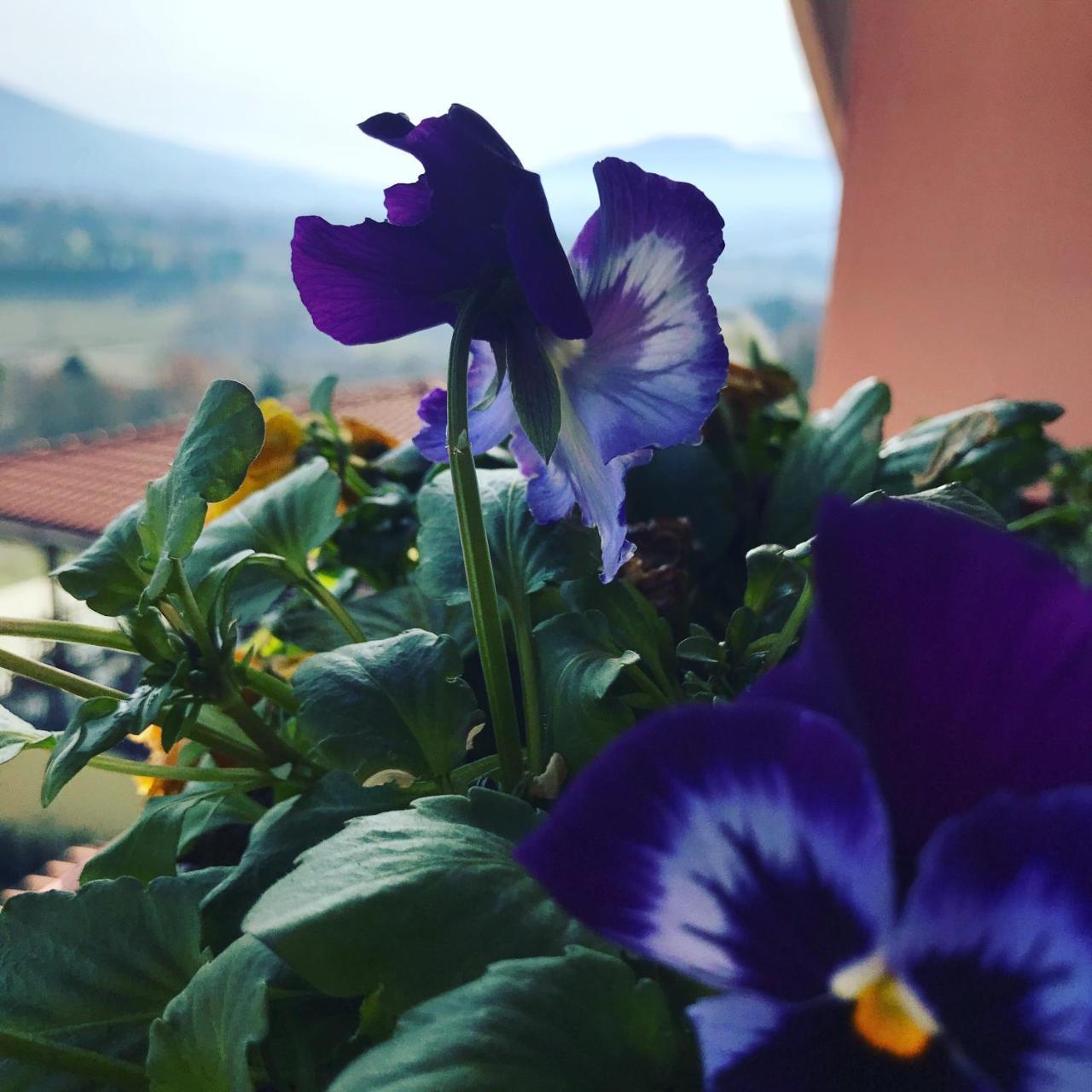 Il Pozzo Country House Collescipoli 外观 照片